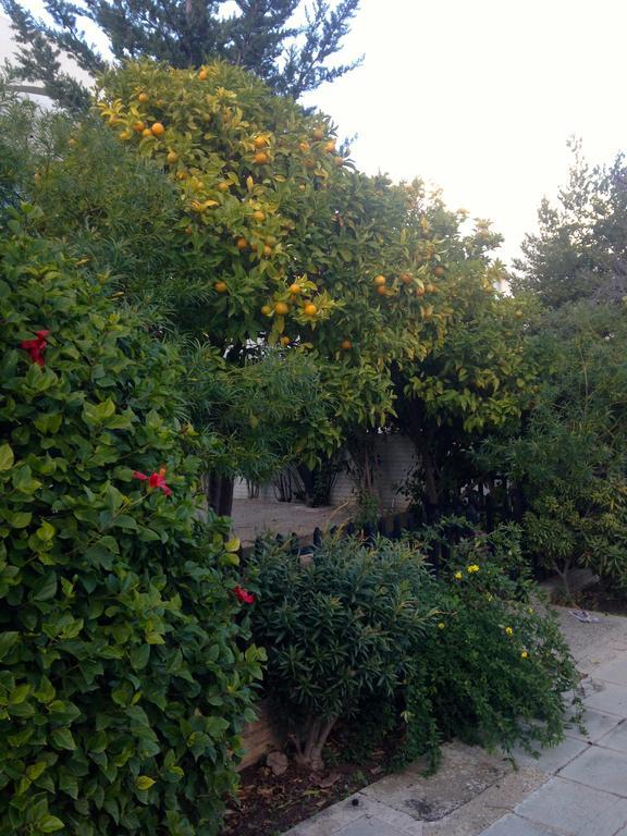 Paphos Studios Екстер'єр фото