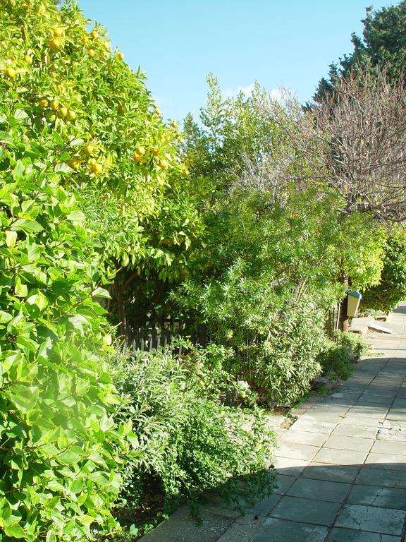 Paphos Studios Екстер'єр фото